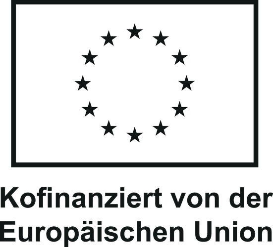 Co-funded by the European Union