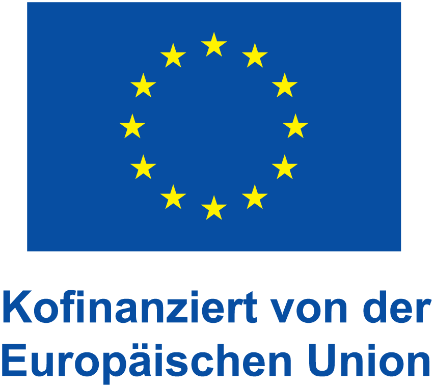 Co-funded by the European Union