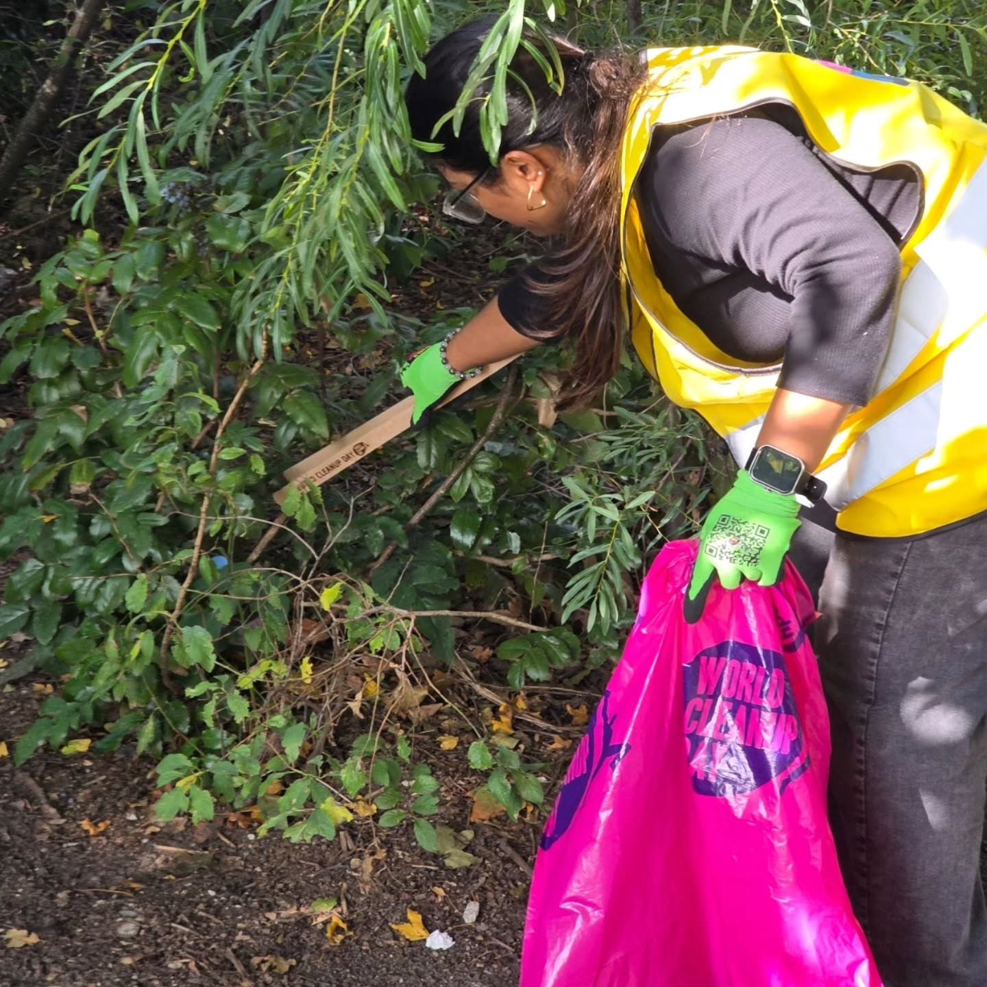 A volunteer collecting litter from a hedge